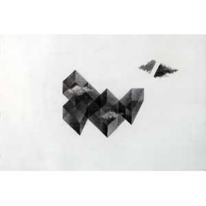 Danish Ahmed, 22 x 15 Inch, Cuboid, Cuboid Charcoal & colored pencil on paper, Abstract Painting, AC-DAH-001 Danish Ahmed, 22 x 15 Inch, Cuboid, Cuboid Charcoal & colored pencil on paper, Abstract Painting, AC-DAH-001